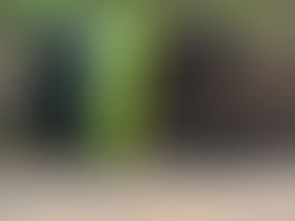 Acidente na Serra da Santa: Ônibus da Pássaro Verde tomba na BR-356 em Itabirito, deixando múltiplos feridos