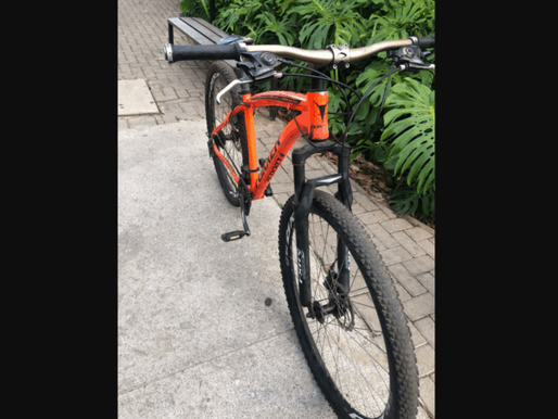 Criminoso Arromba e Furtiva Loja em Itabirito; Guarda Civil Municipal Intervém na Ocorrência