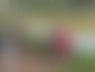 Homem é achado morto com indícios de execução em represa de Minas Gerais