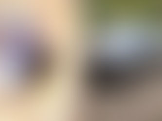 Um carro foi furtado na noite de segunda-feira (21), por volta das 22h06, na Rua Dr. Alberto Soares, no bairro Saudade, em Itabirito. Câmeras de segurança registraram a ação criminosa, que ocorreu em questão de minutos. No vídeo, é possível observar um homem se aproximando do veículo com aparente calma, enquanto outro indivíduo vigia a movimentação na rua.