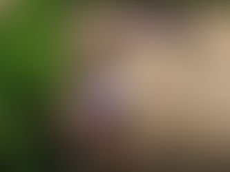 Apreensão de patrimônio público leva à prisão de homem em Itabirito