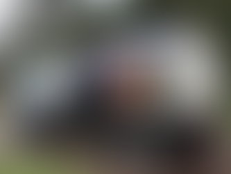 Varredeira automatizada remove mais de 400 toneladas de entulho da BR-040 no primeiro mês de atuação