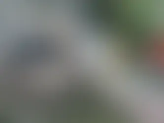 Caminhão carregado de drywall pega fogo na BR-040