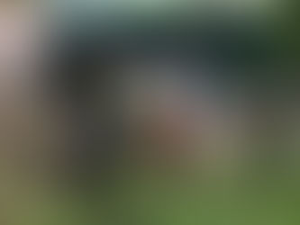 Colisão entre ônibus e carro na BR-356 resulta em quatro vítimas e bloqueia a via em Ouro Preto