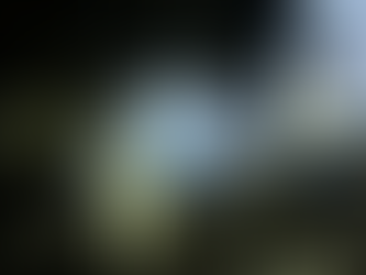 Grave Acidente entre Carreta e Van em Minas Gerais Deixa 9 Mortos e 10 Feridos