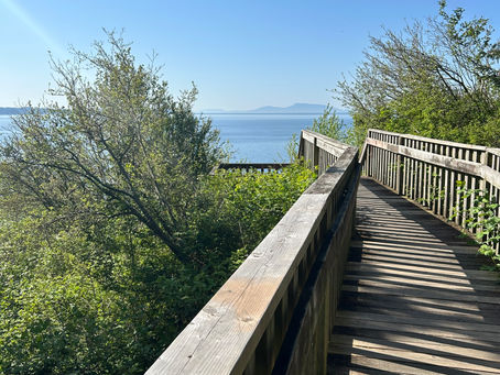 wooden stairs overlooking ocean and blue sky