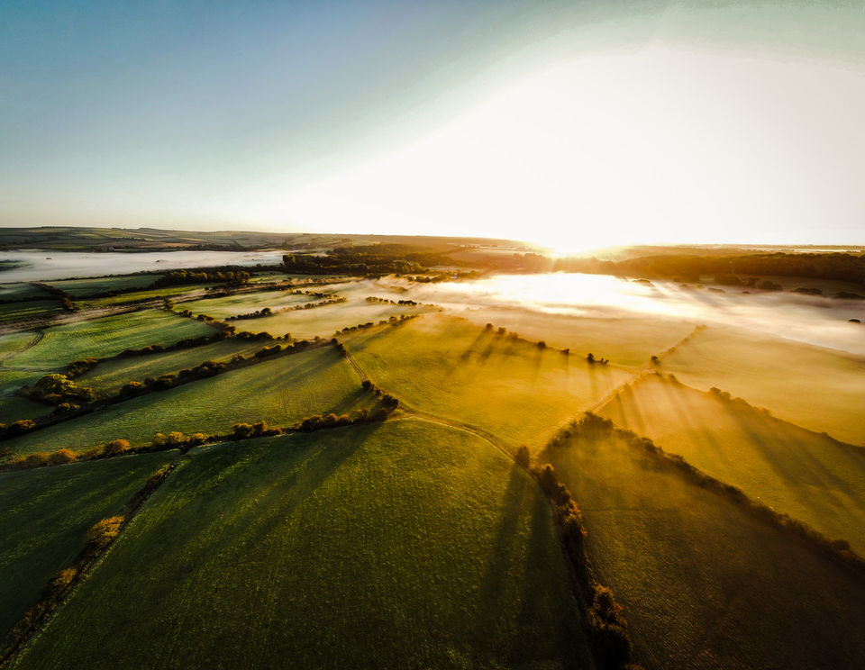 Ultima Media - sunrise fields.jpg