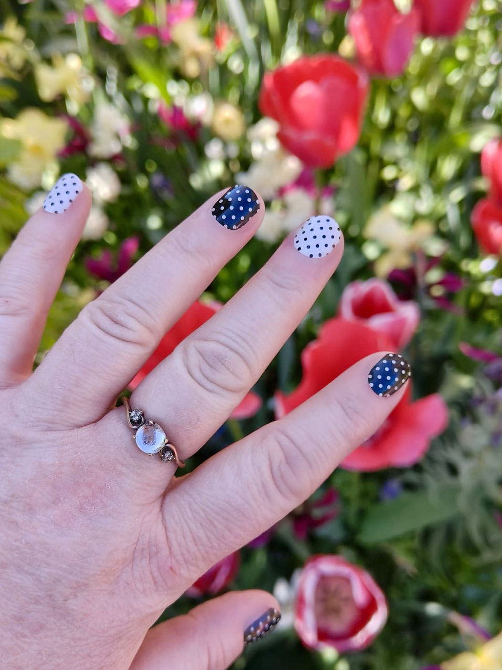 Thumbnail: Going Dotty