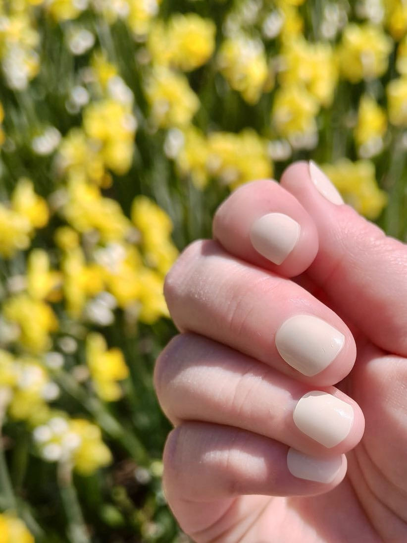 Thumbnail: Lemon Drop