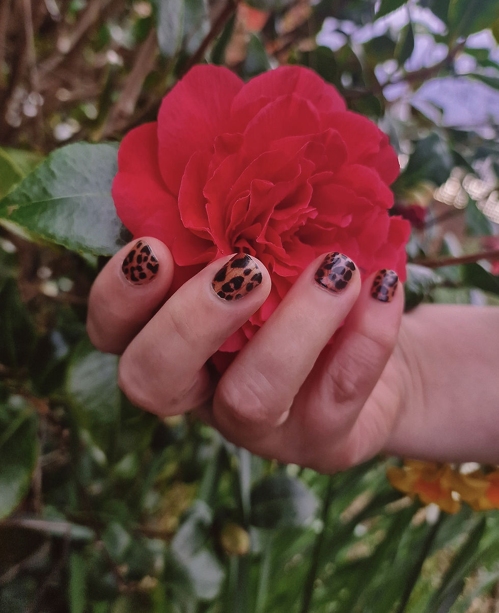 Thumbnail: Cheetah Queen