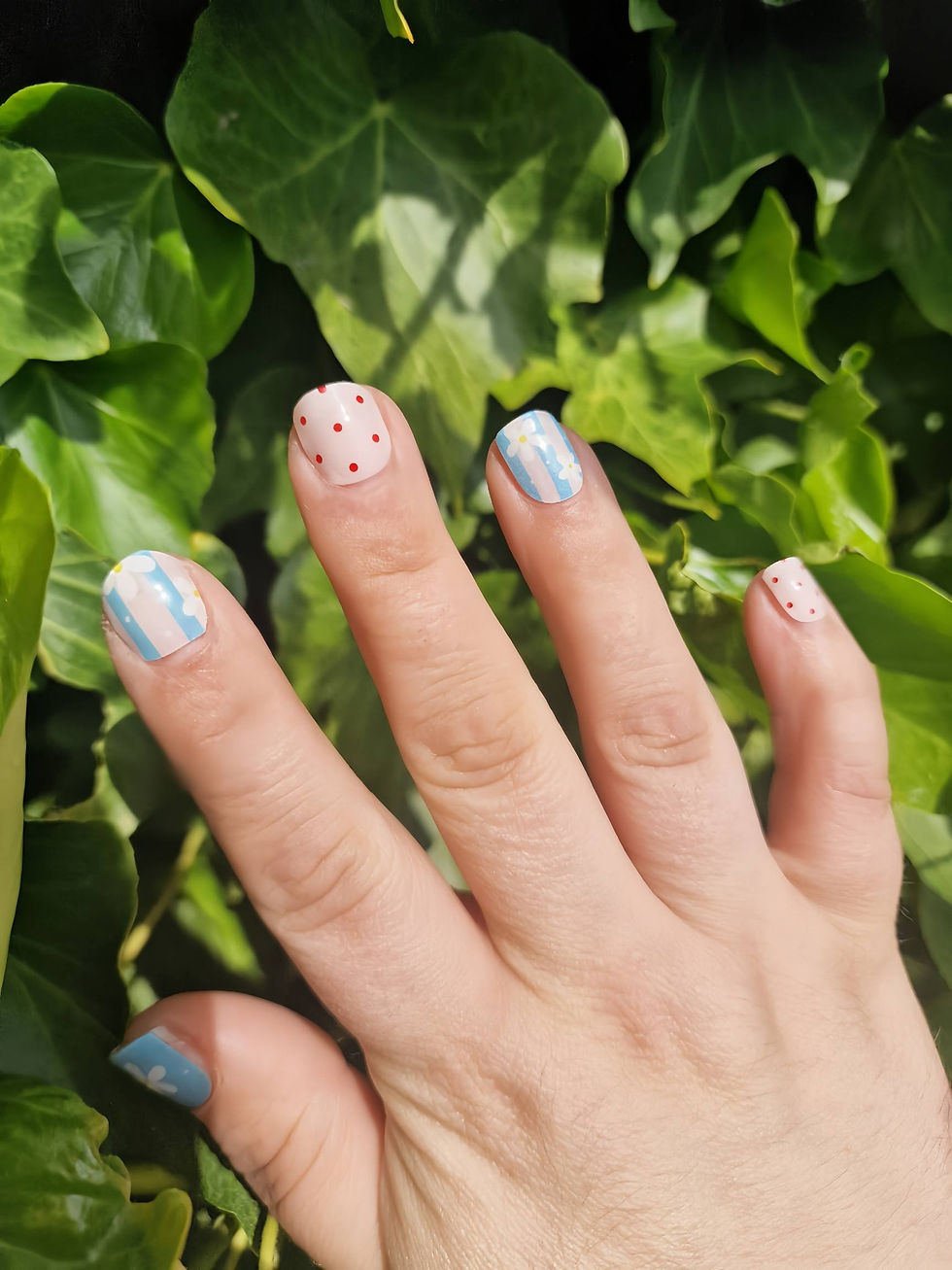 Thumbnail: Cherry Picnic