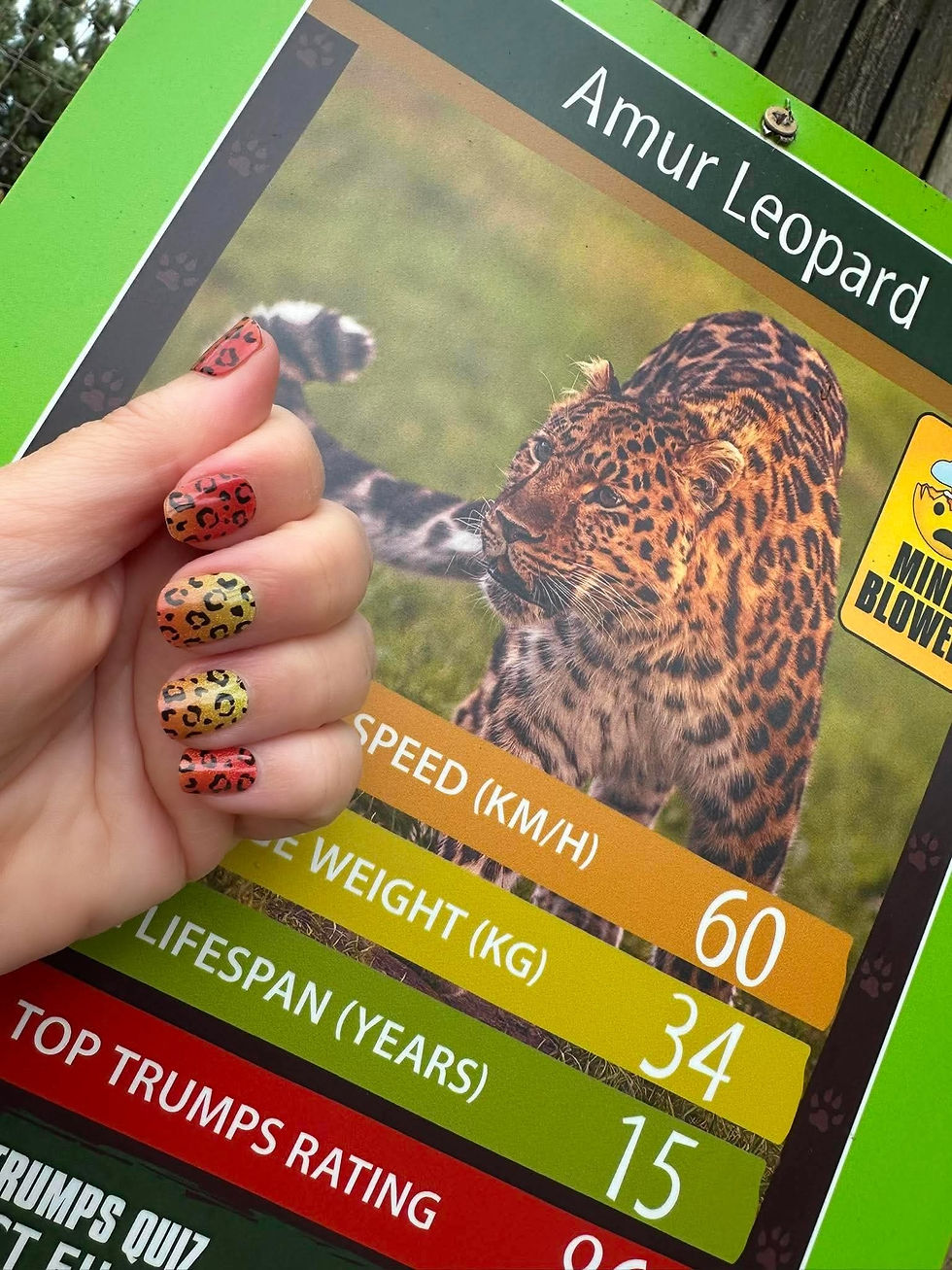 Thumbnail: Summer Safari