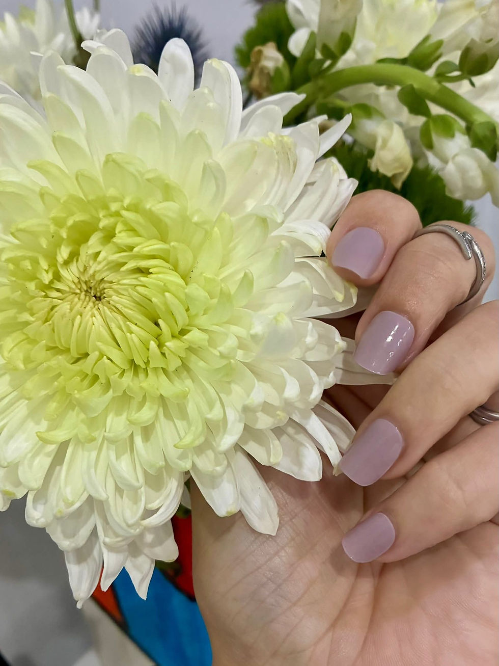 Thumbnail: Muted Mauve