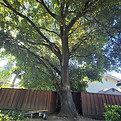 20250510_090028.jpg