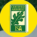 isa_edited_edited.jpg