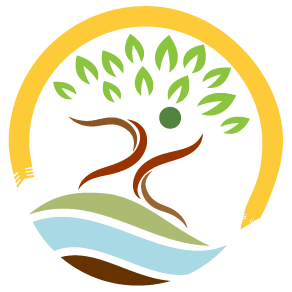 D'Cruz Consulting Regeneration Logo Round-01-01.png