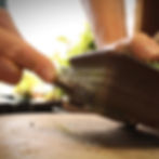 412: Preparing Bonsai for Late Summer Dormancy