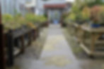 Nursery.jpg