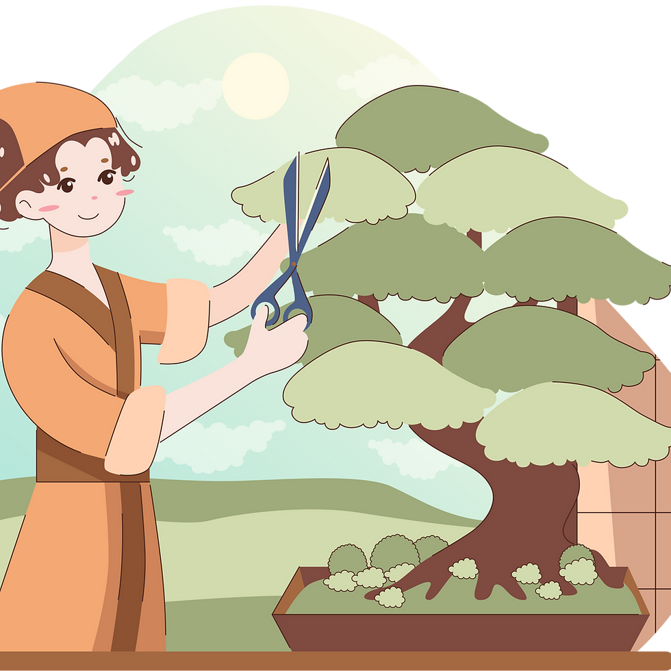 Mindful Practice in Bonsai Care