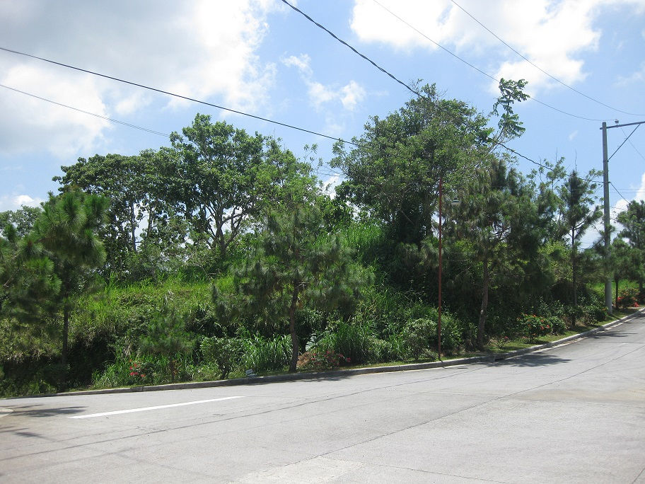 Thumbnail: Ponderosa Leisure Farm