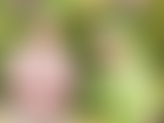 Safe Exercises for Seniors to Improve Health and Mobility in Chilliwack, Agassiz and Abbotsford