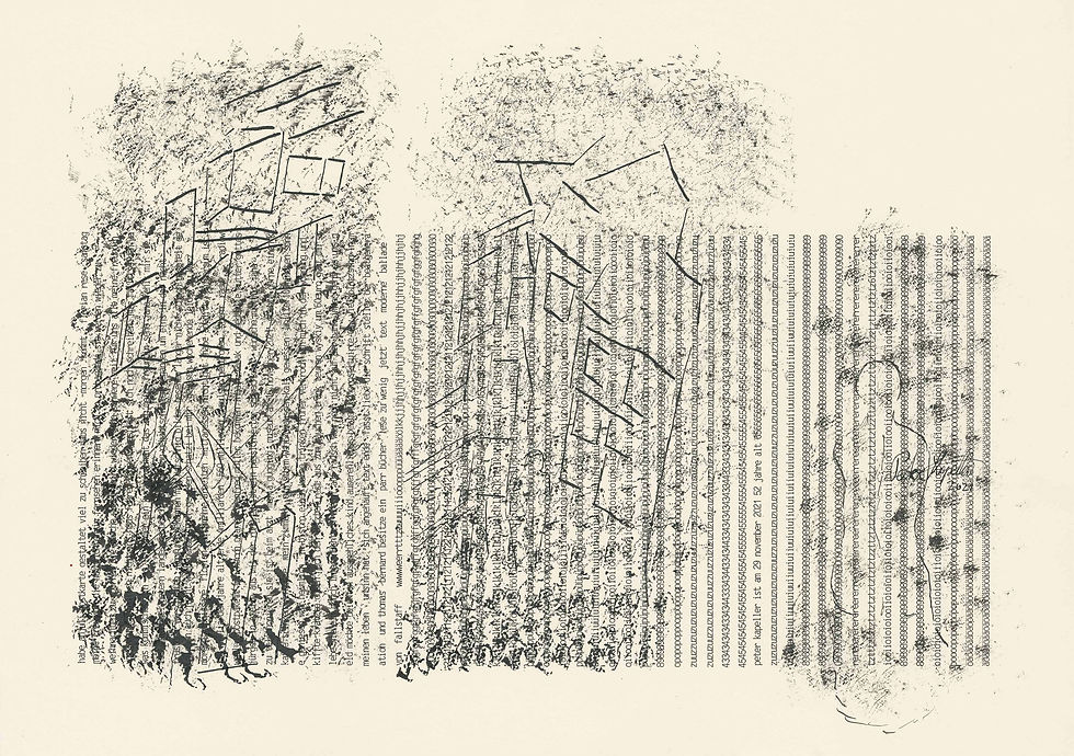 Peter Kapeller - 30x42