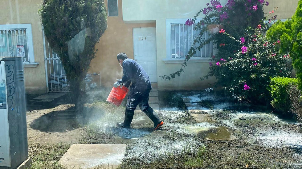 Refuerza Gobierno de Morelia acciones de fumigación en Hacienda Tiníjaro
