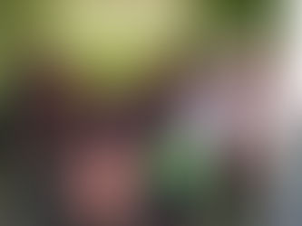 Realizó Víctor Silva Tejeda intensa gira de trabajo por el municipio de Tancítaro