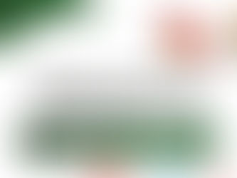 Suspendidas Fiestas Patrias en Tarímbaro; actos cívicos se realizarán de manera virtual