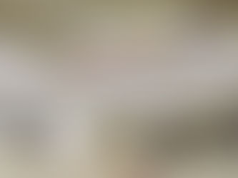 Gobierno pide 475 mdp para arrendamiento del Avión Presidencial