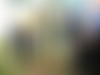 Planta Gobernador árboles en memoria de quienes perdieron la vida por COVID-19