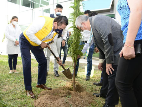 Planta Gobernador árboles en memoria de quienes perdieron la vida por COVID-19