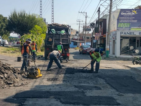 Bachean decenas de colonias diariamente en Morelia