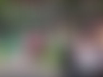 Ayuntamiento de Morelia invita a disfrutar activación en parque lineal García de León