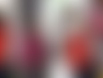 Toman protesta nuevos dirigentes de la CNOP y ONMPRI en Michoacán