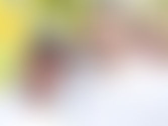 Impulsar a productores regionales, nuestra prioridad: Silvano Aureoles