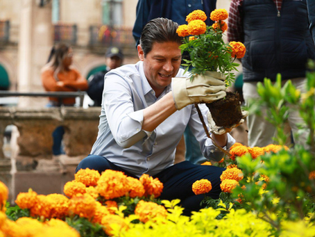 Con miles de flores de cempasúchil ayuntamiento adorna las plazas públicas