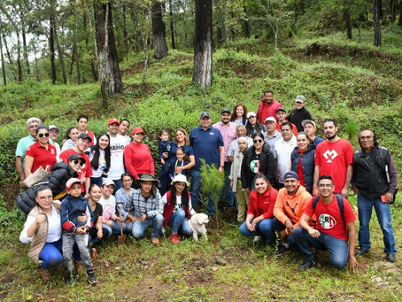 Arranca PRI Michoacán reforestación en San Miguel del Monte