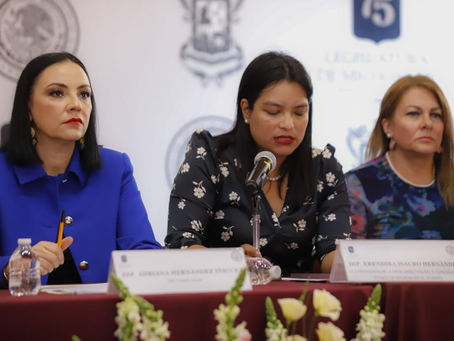 Detectar, prevenir y castigar el abuso a adultos mayores, la premisa de la 75 Legislatura