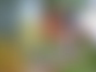 Inicia en Tarímbaro la Feria del Pulque, el Mezcal y el Asado