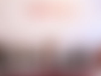 GP de Morena irá contra la reelección y el nepotismo: Fabiola Alanís