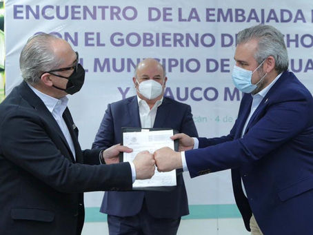 Presenta Arauco impacto ambiental de su proyecto de inversión en Michoacán