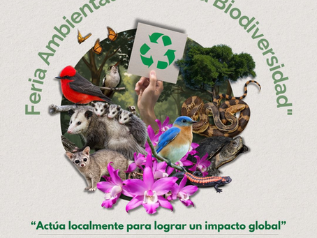 Gobierno de Morelia invita a vivir la Feria Ambiental de la Biodiversidad