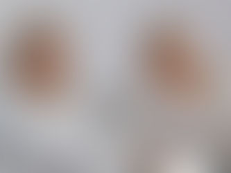 AMLO le cumplirá a Michoacán con federalización de nómina educativa: Bedolla