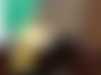 Ley de Movilidad se construyó en parlamento abierto; ningún sector fue excluido: Julieta García