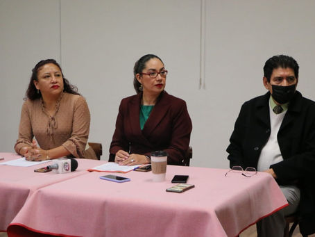 Urge Seyra Alemán a cubrir consejería acéfala en Comité de Participación Ciudadana: Seyra Alemán