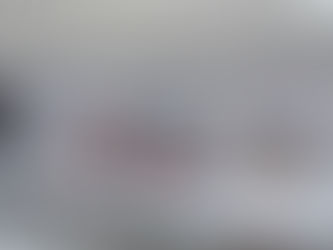 Priistas respaldan al precandidato a la Gubernatura, Carlos Herrera Tello