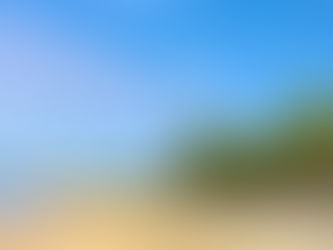 Del 20 al 22 de enero, Concurso Estatal de Aguas abiertas en playa Palma Sola