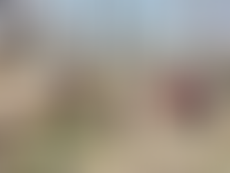 Incendio forestal en Villa Jiménez, controlado al 100% con ayuda de helicóptero: Cofom