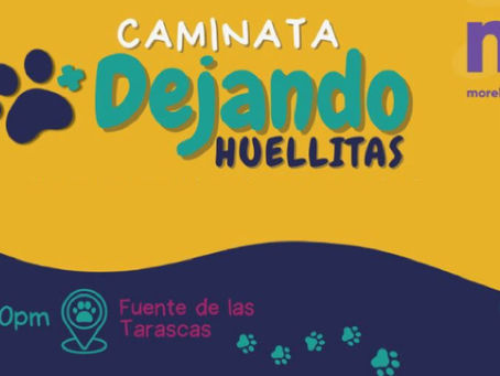 Ayuntamiento de Morelia invita a caminata por la conciencia animal 'Dejando Huellitas'